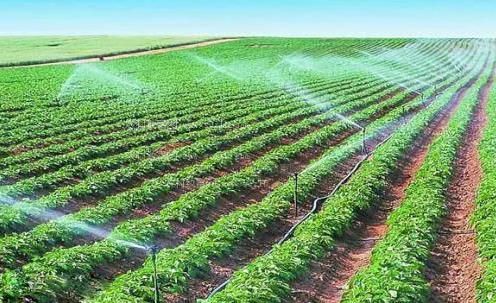 骚逼免费视频农田高 效节水灌溉